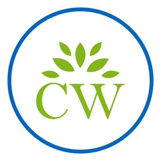 The Cognitive Workshop